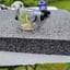 Small image 6