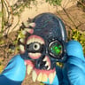 Small image 0