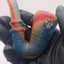 Small image 7
