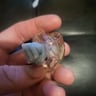 Small image 3