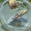 Small image 7