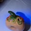 Small image 4