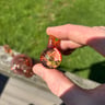 Small image 5