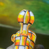 Small image 5