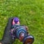 Small image 6