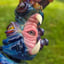 Small image 5