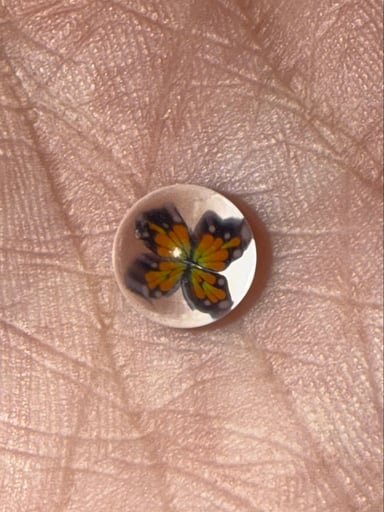 Preview pic of Orange Butterfly Pearl