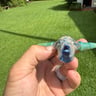 Small image 3