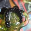 Small image 6