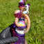 Small image 5