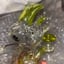 Small image 8