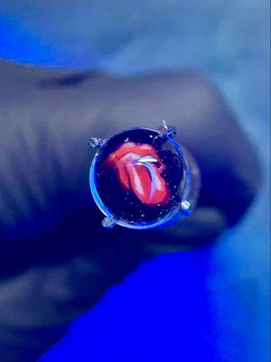 Preview pic of Rolling Stones Millie pearl UV steve h 6mm
