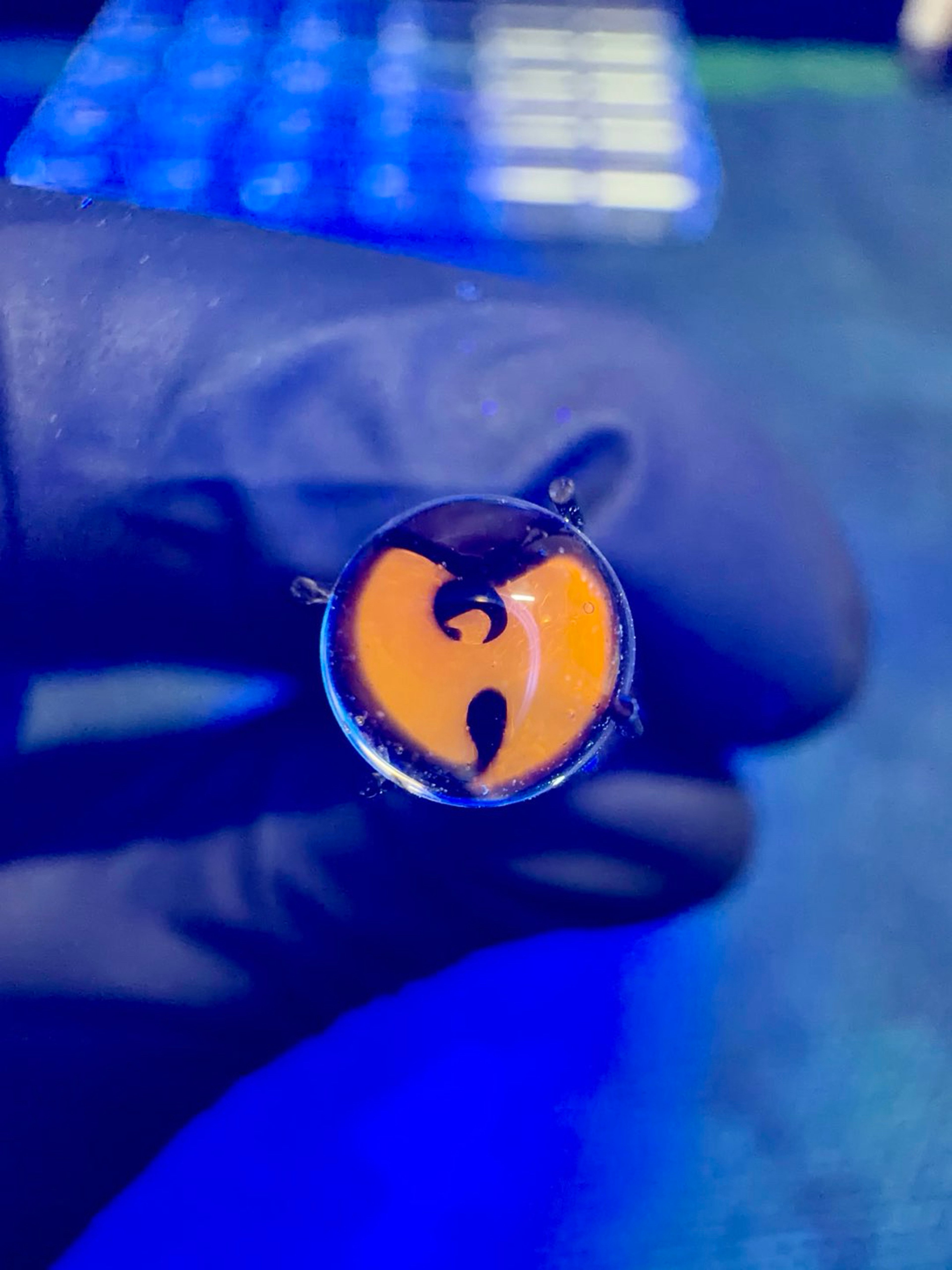 Wutang Millie pearl UV steve h 6mm image 0