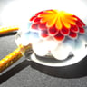 Small image 4