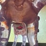 Small image 6