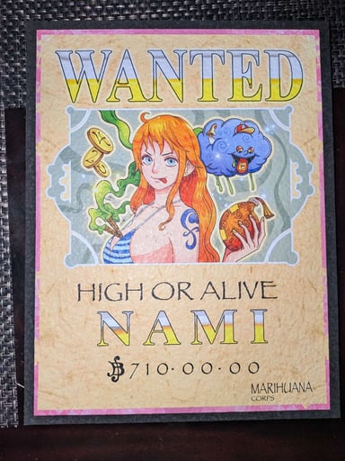 Preview pic of Nami Moodmat DMC 11/25