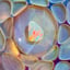 Small image 8
