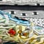 Small image 6