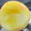 Small image 7