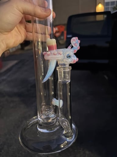 Preview pic of Salt Hook package