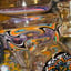 Small image 6