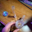 Small image 6
