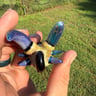 Small image 4