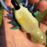 Small image 5