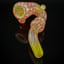 Small image 8