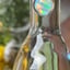 Small image 7