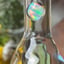 Small image 8
