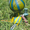 Small image 2