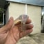Small image 7