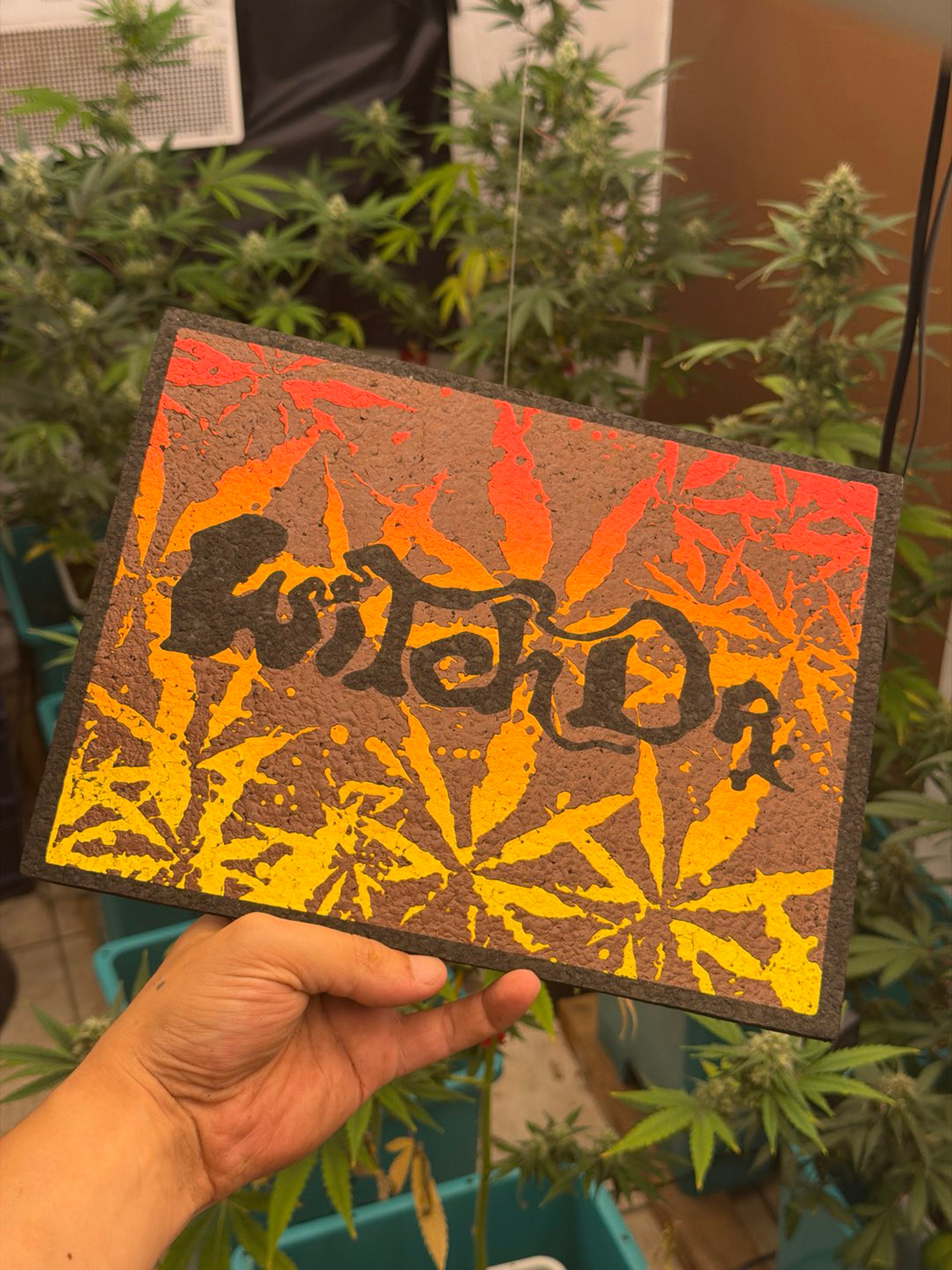 Preview pic of WitchDrx Fall Leaves