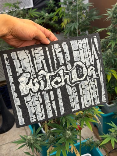 Preview pic of WitchDrx Birch Wood Mat