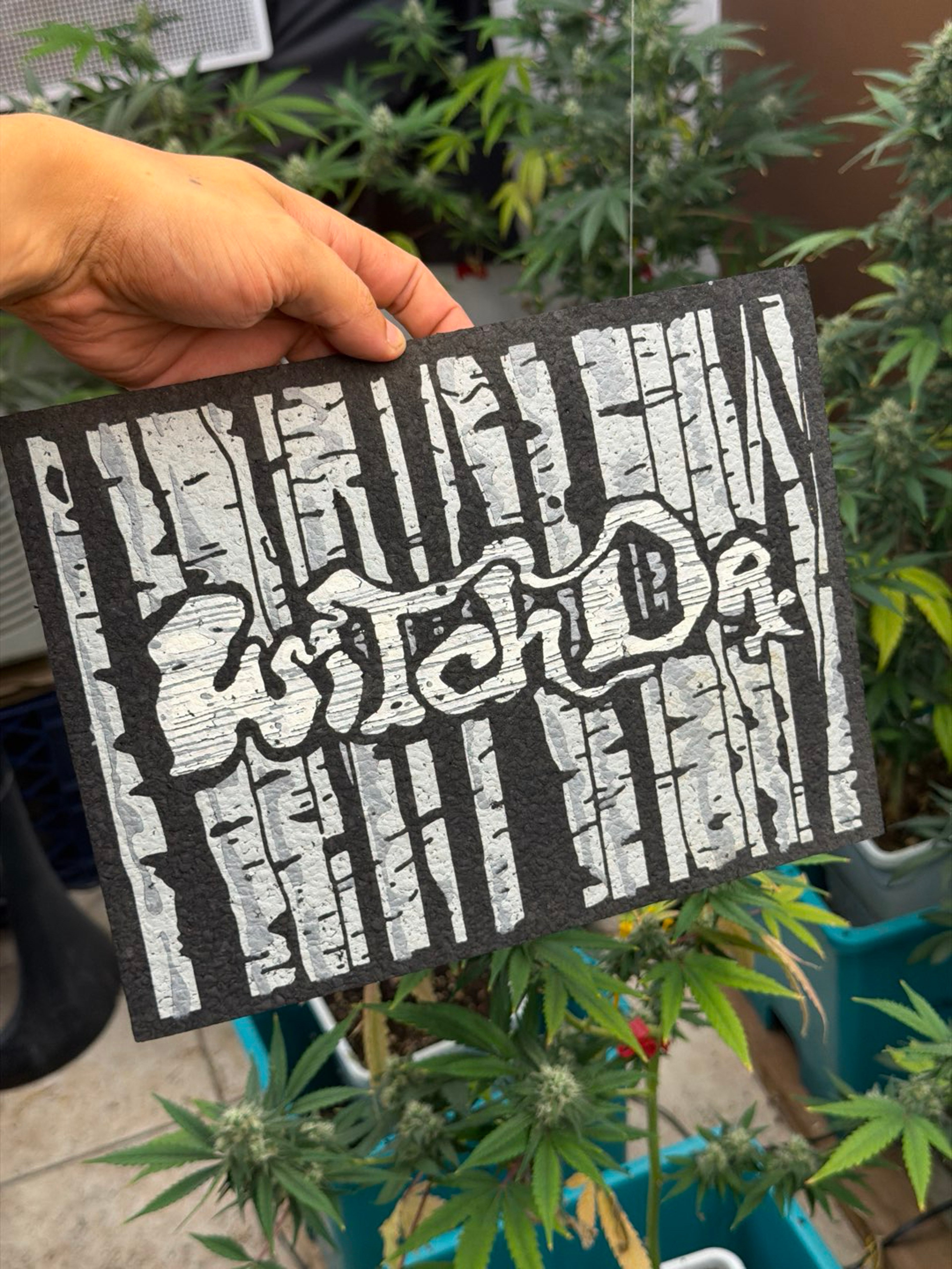 Preview pic of WitchDrx Birch Wood Mat