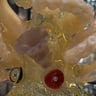 Small image 4