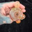 Small image 6