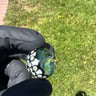 Small image 3