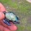 Small image 2