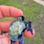 Small image 6