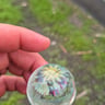 Small image 4