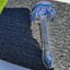 Small image 6