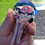 Small image 8