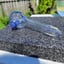 Small image 5