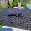 Small image 5