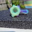Small image 6