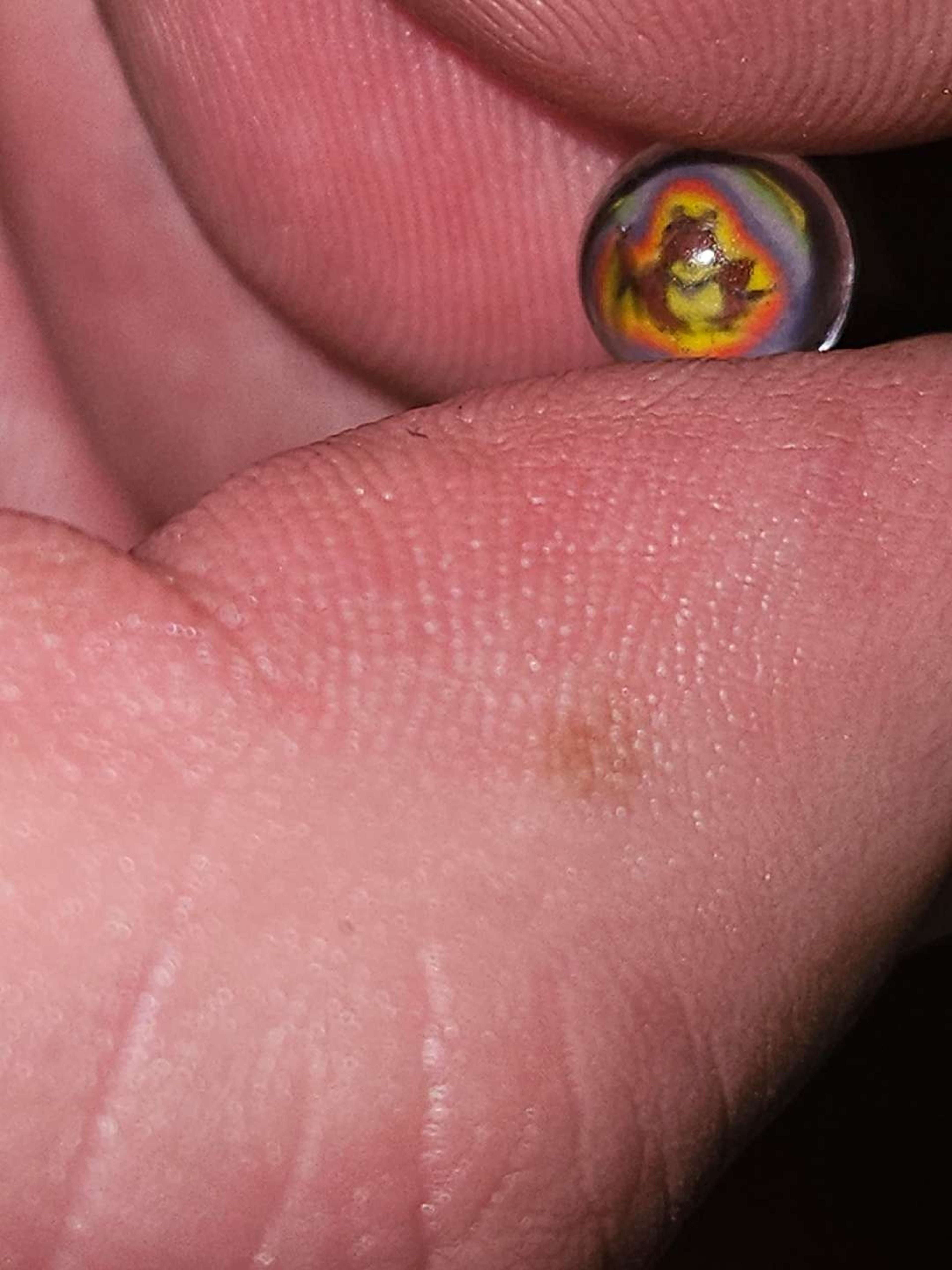Preview pic of Ben Focus Terp pearl