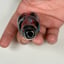 Small image 3