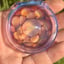 Small image 9